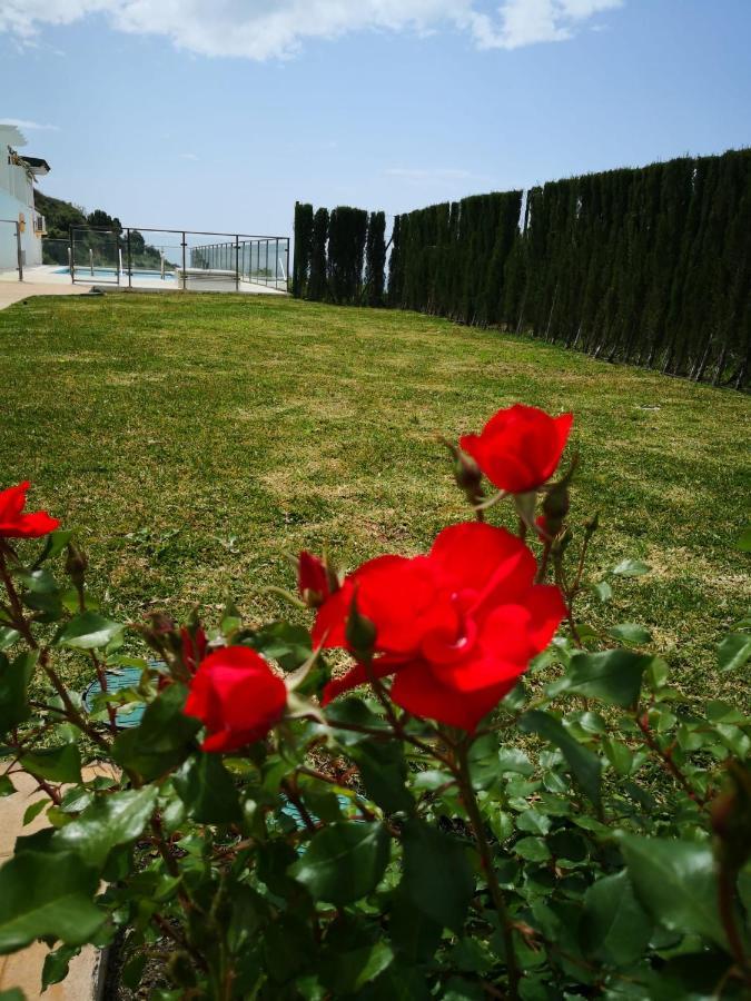 Dana I Eurogolf, Vistas, Wifi, Piscina Y Parking Apartment Benalmadena